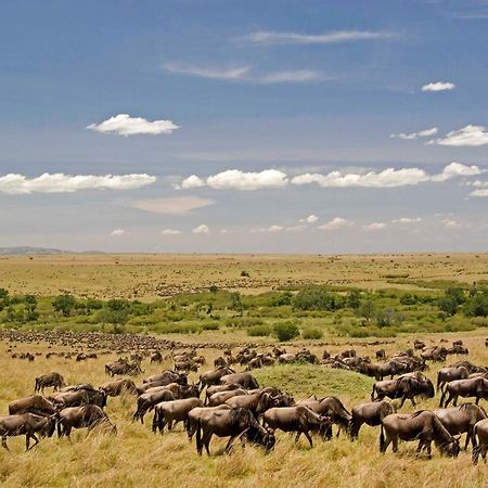 Mara Intrepids Tented Camp Talek Buitenkant foto